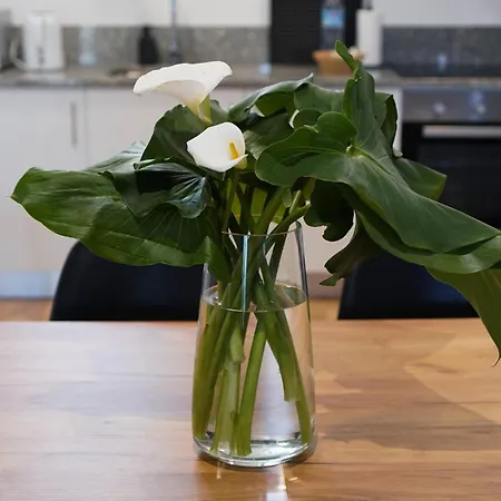 Διαμέρισμα Casas De Fralaes *